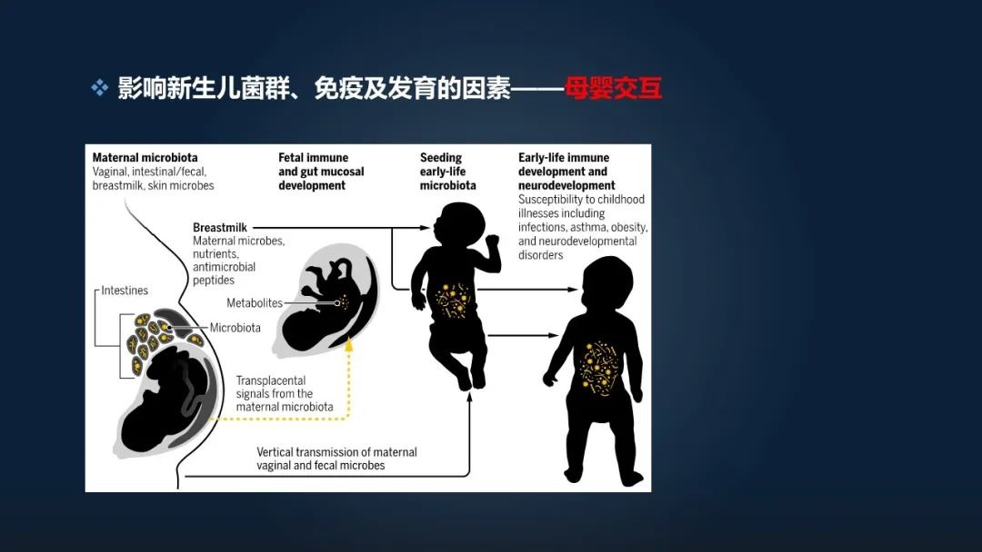 赵方庆：18分钟讲解母亲如何将菌群遗传给后代