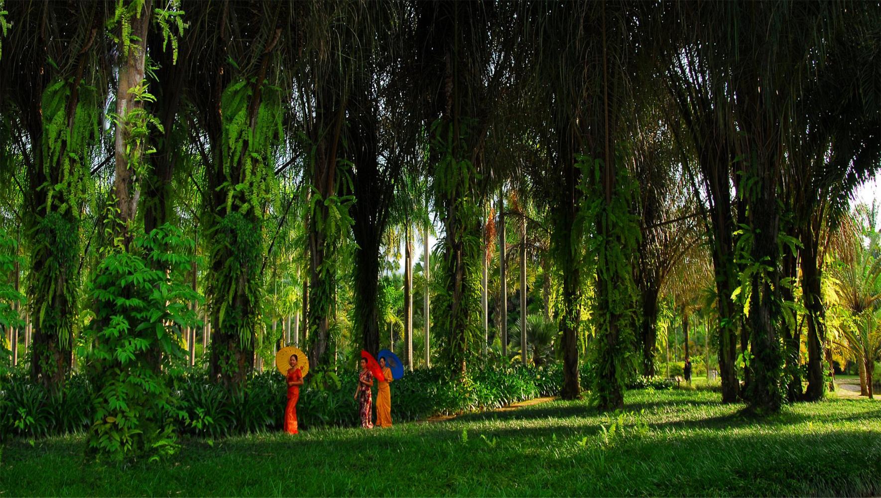 云南旅游主要介绍什么景点和特色,云南各个景点游玩时间多久合适玩