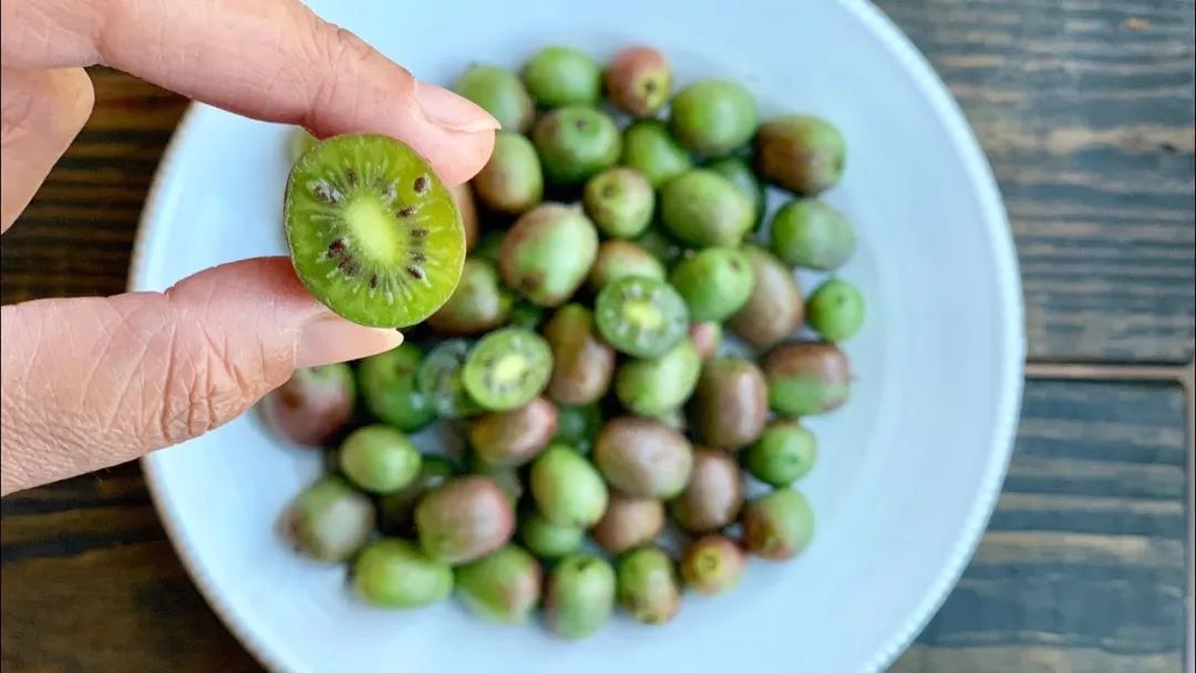 澳洲水果的营养价值,澳洲必吃的10种水果