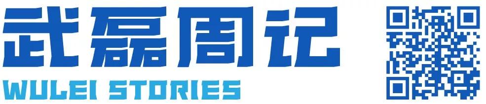 武磊西甲记录表,武磊写周记完整版