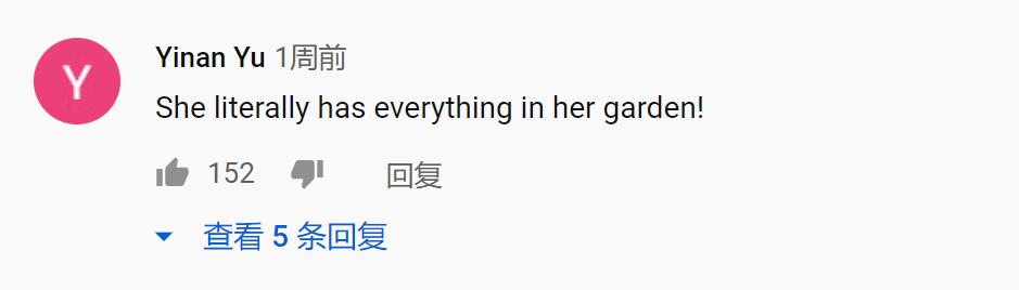 被央视点赞的李子柒，遭全网扒皮：“她算什么文化输出？！”