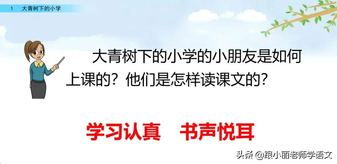 大青树下的小学重点知识点,大青树下的小学重点知识梳理