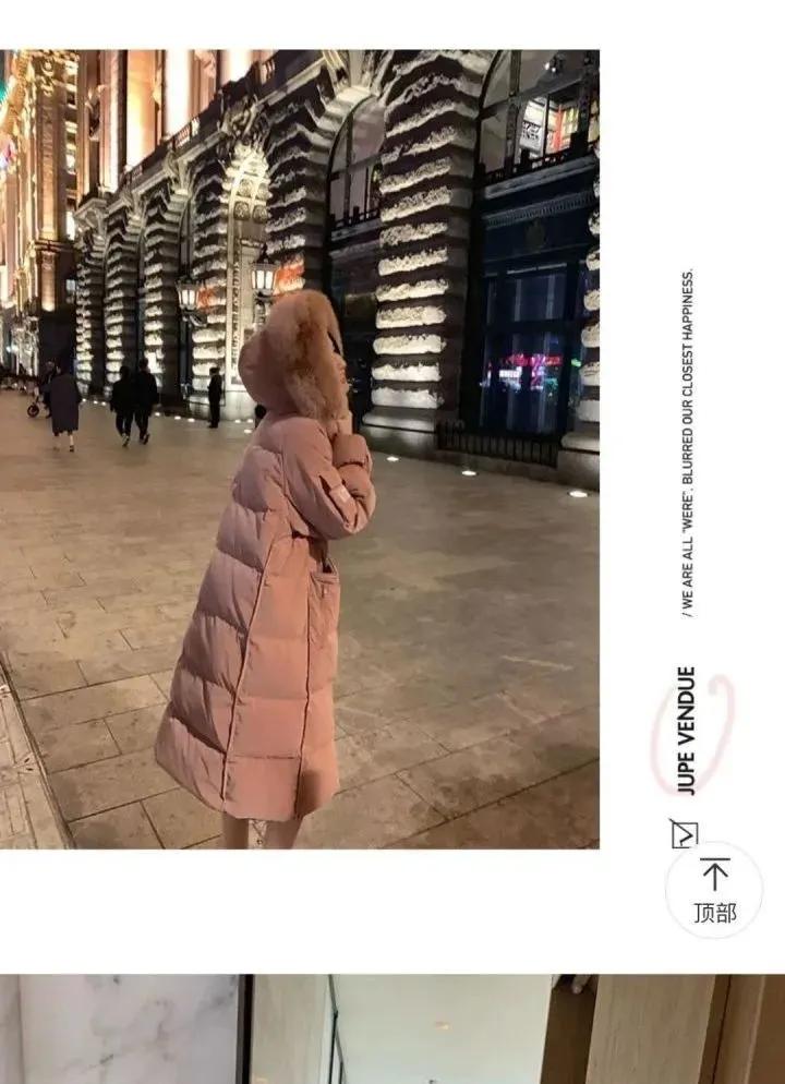 张大奕为什么被称为大陆第一网红,网红张大奕现在怎么样