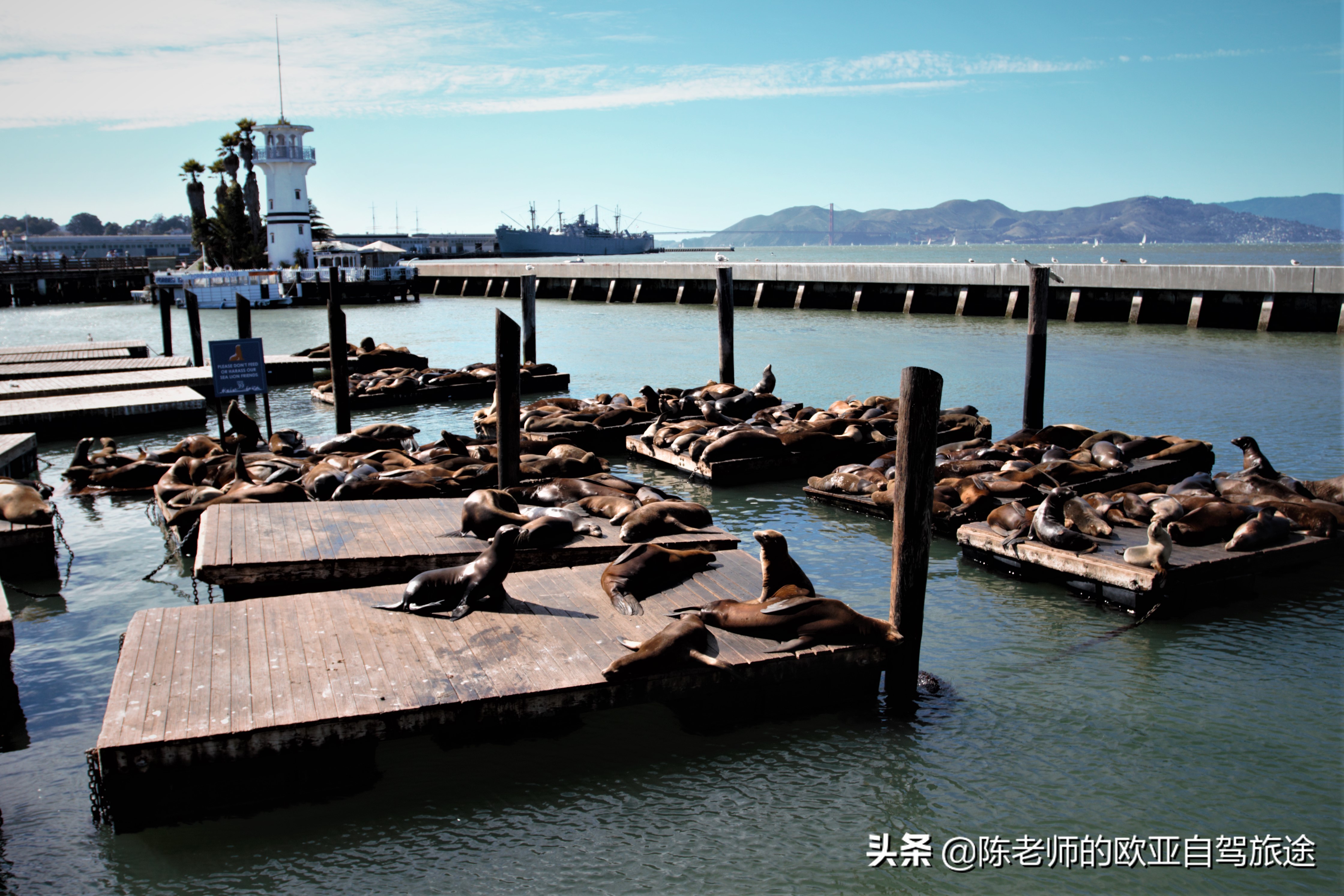 美国旅游攻略自由行视频,自驾游美国合集