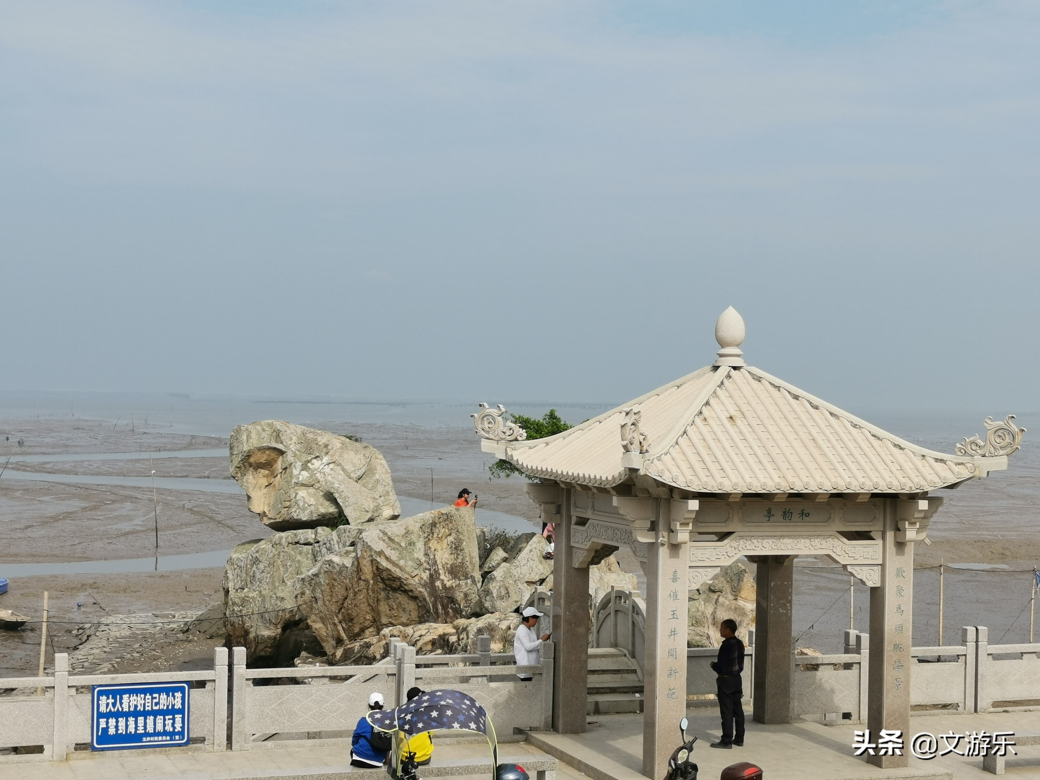 马尾有什么涵义,马尾是鬃毛吗