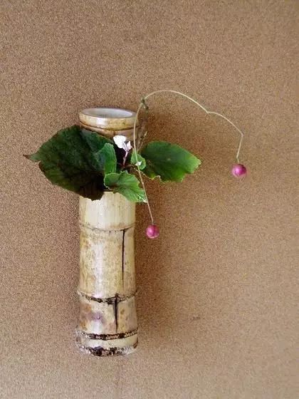 教你怎么学插花,小白零基础怎么学插花