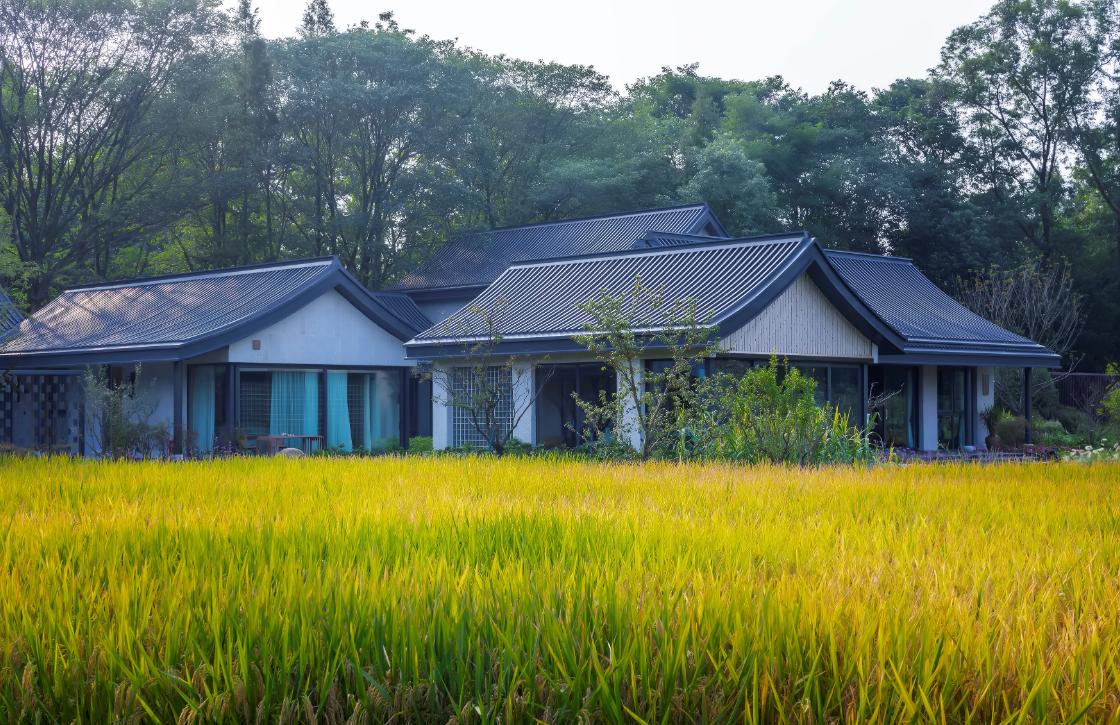 成都市美丽乡村游,留在家乡四川