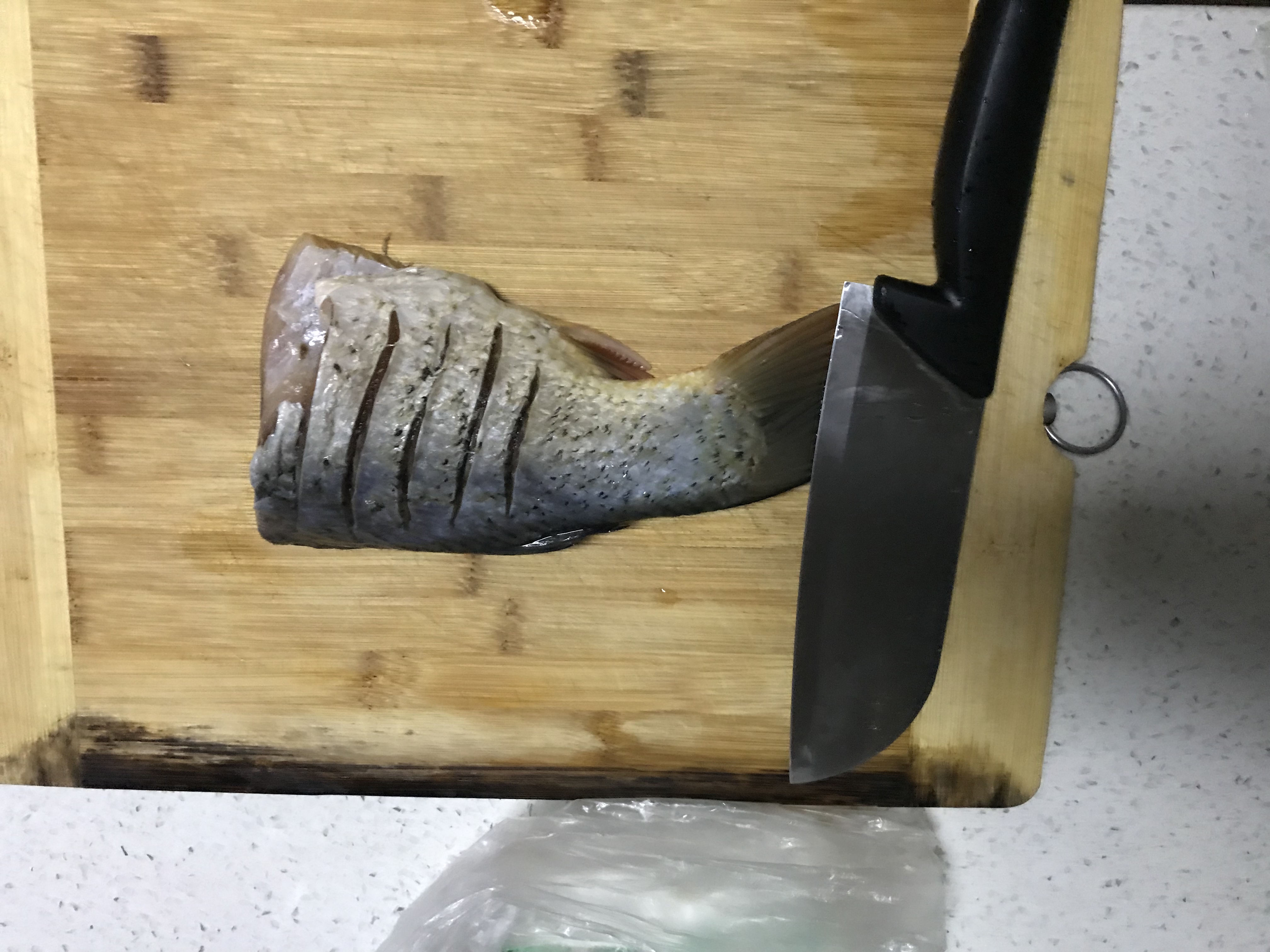 龙鱼喂食小金鱼,龙鱼喂食器多少钱