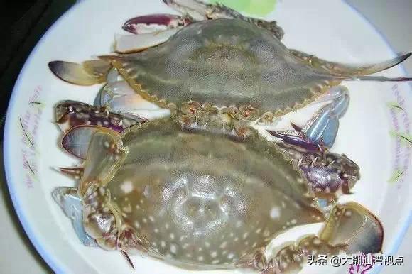 作为潮汕人，这89种海鲜你都能对上号吗