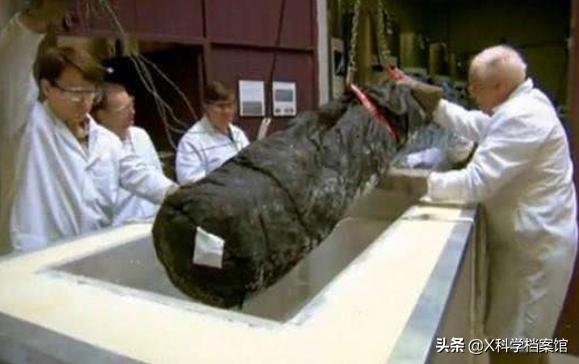 人体冷冻及复活的科学可能性,人体冷冻复活温度