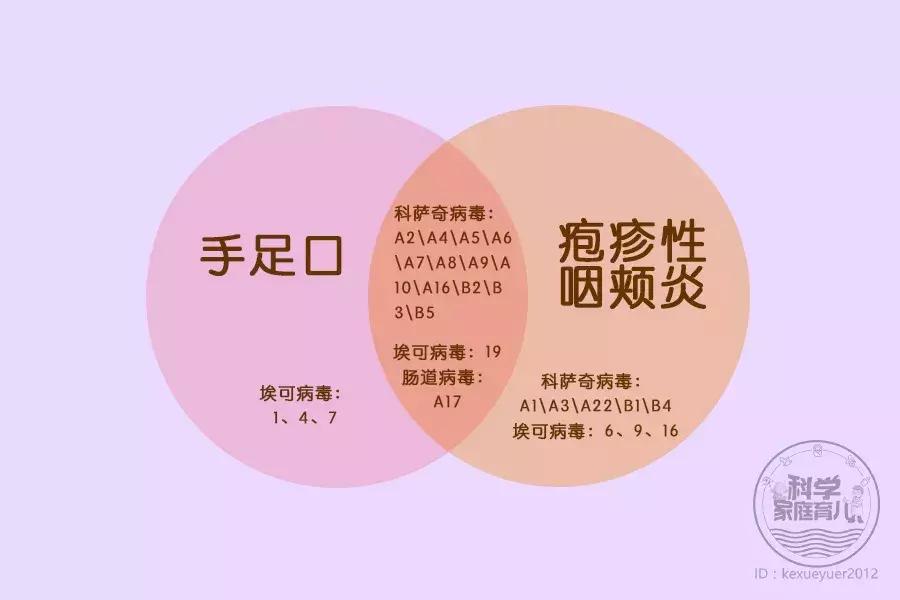 冬季手足口病症状,关于手足口病高发期的温馨提示