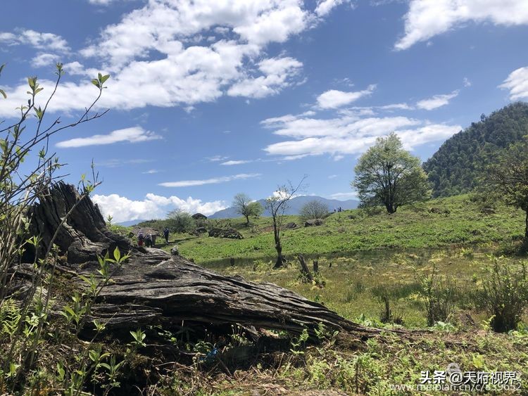 四川黑竹沟之谜,四川黑竹沟探险之旅