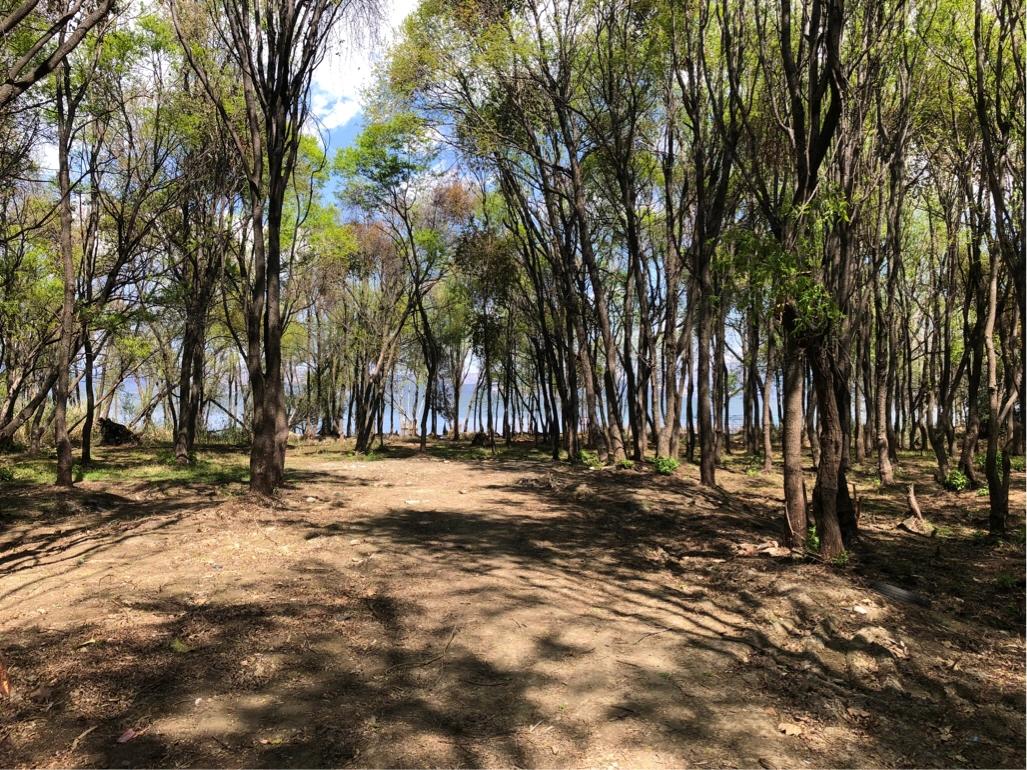 大理环海西路有哪些景点,你向往去的地方