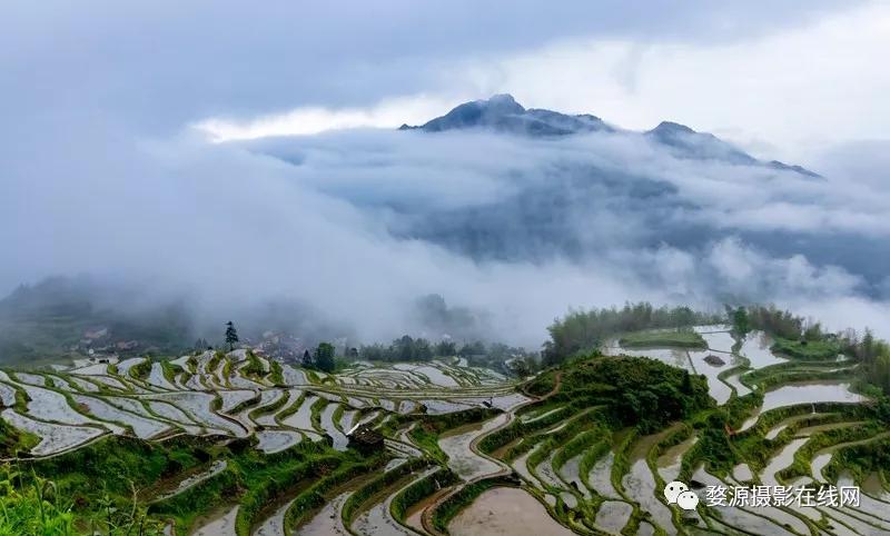 楠溪江为什么叫山水画摇篮,中国山水画林泉高致