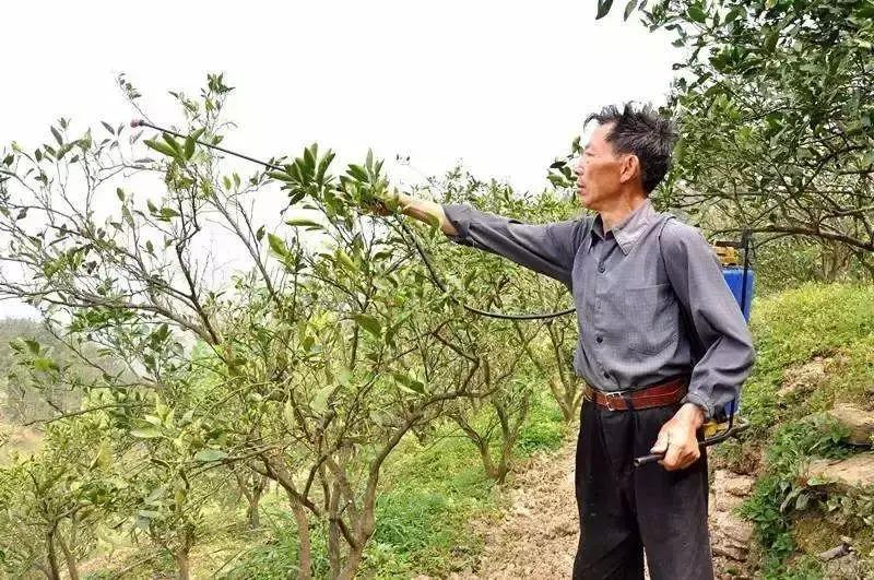 24种果园最常用的农药,果园农药的正确使用方法是哪些