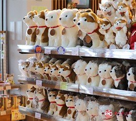 秋田市旅游,秋田一日游最佳去处