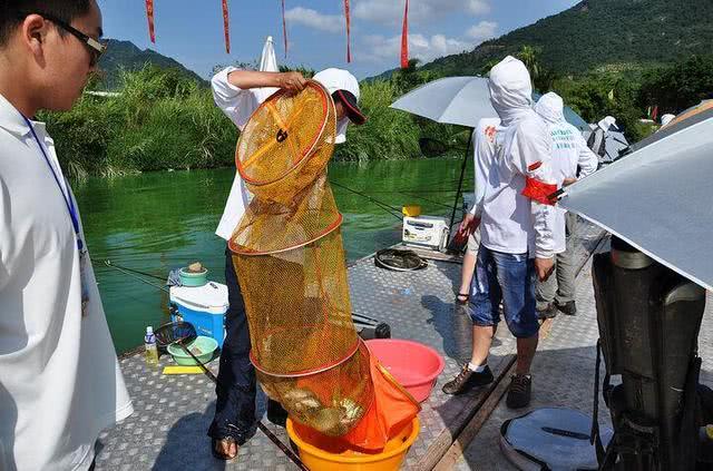 开鱼塘钓鱼如何盈利,钓鱼不如钓自己