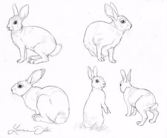 简笔画人物教程大全零基础成人,1000个适合零基础的简笔画教程