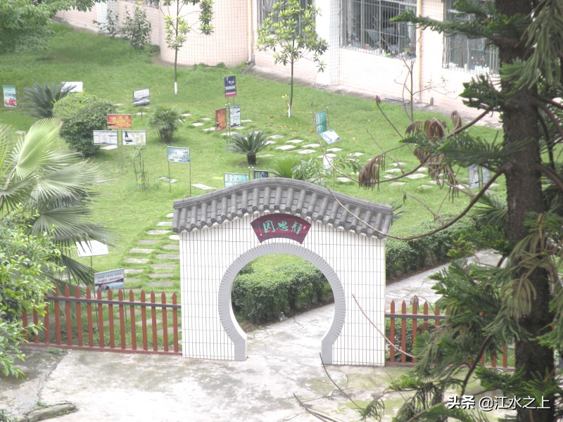 今年泸县一中高考情况,泸县一中五中四中今年的本科率