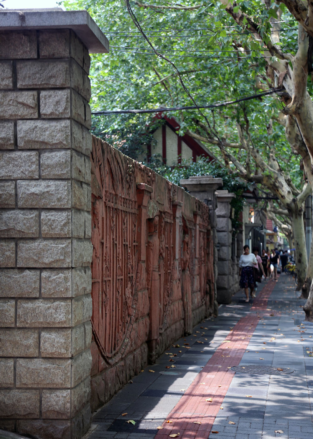 静雅碧螺红茶,静雅武夷