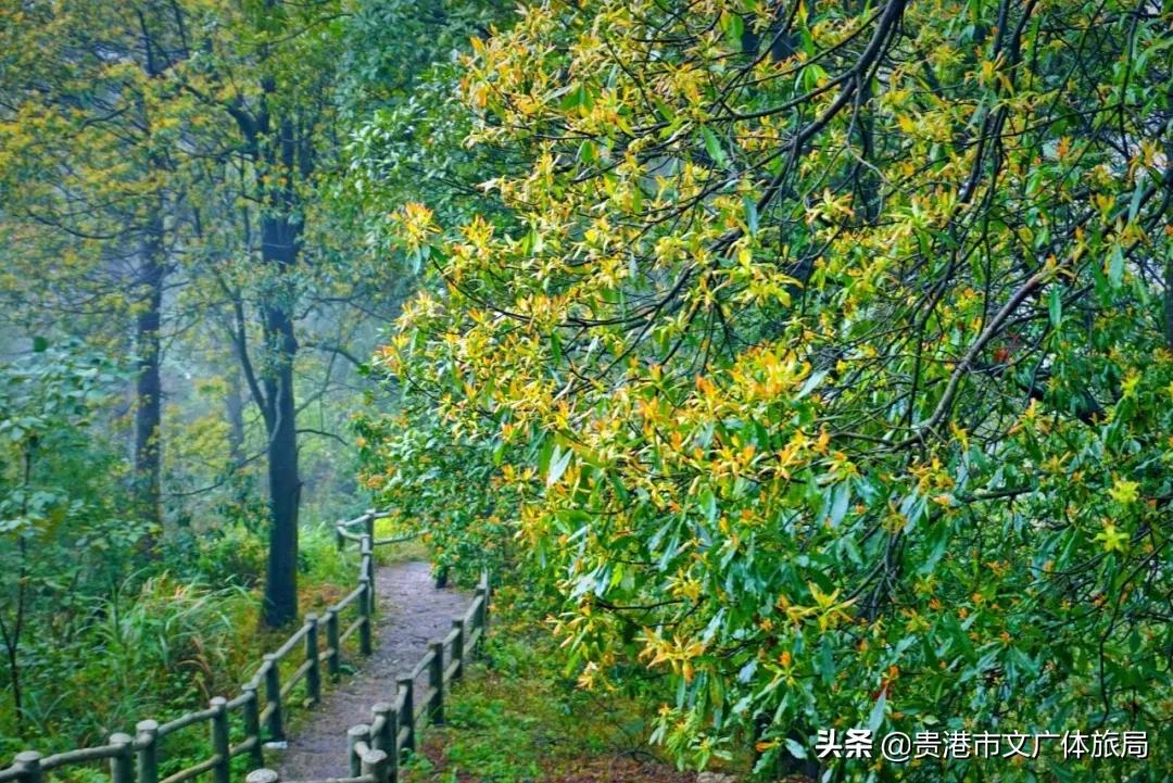 贵港爬山推荐景点,贵港爬山推荐景点有哪些