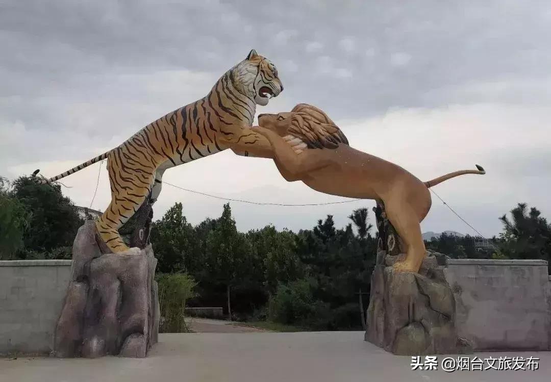 閬囪閱夌編閲戠,閬囪閱夌編閲戠鏂囨梾绯诲垪娲诲姩鍙戝竷