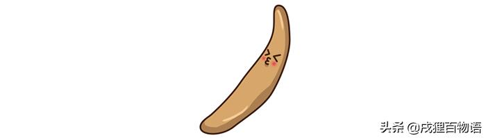 猫咪屁屁老是有稀便便是怎么回事,如何从猫咪便便判断是否生病