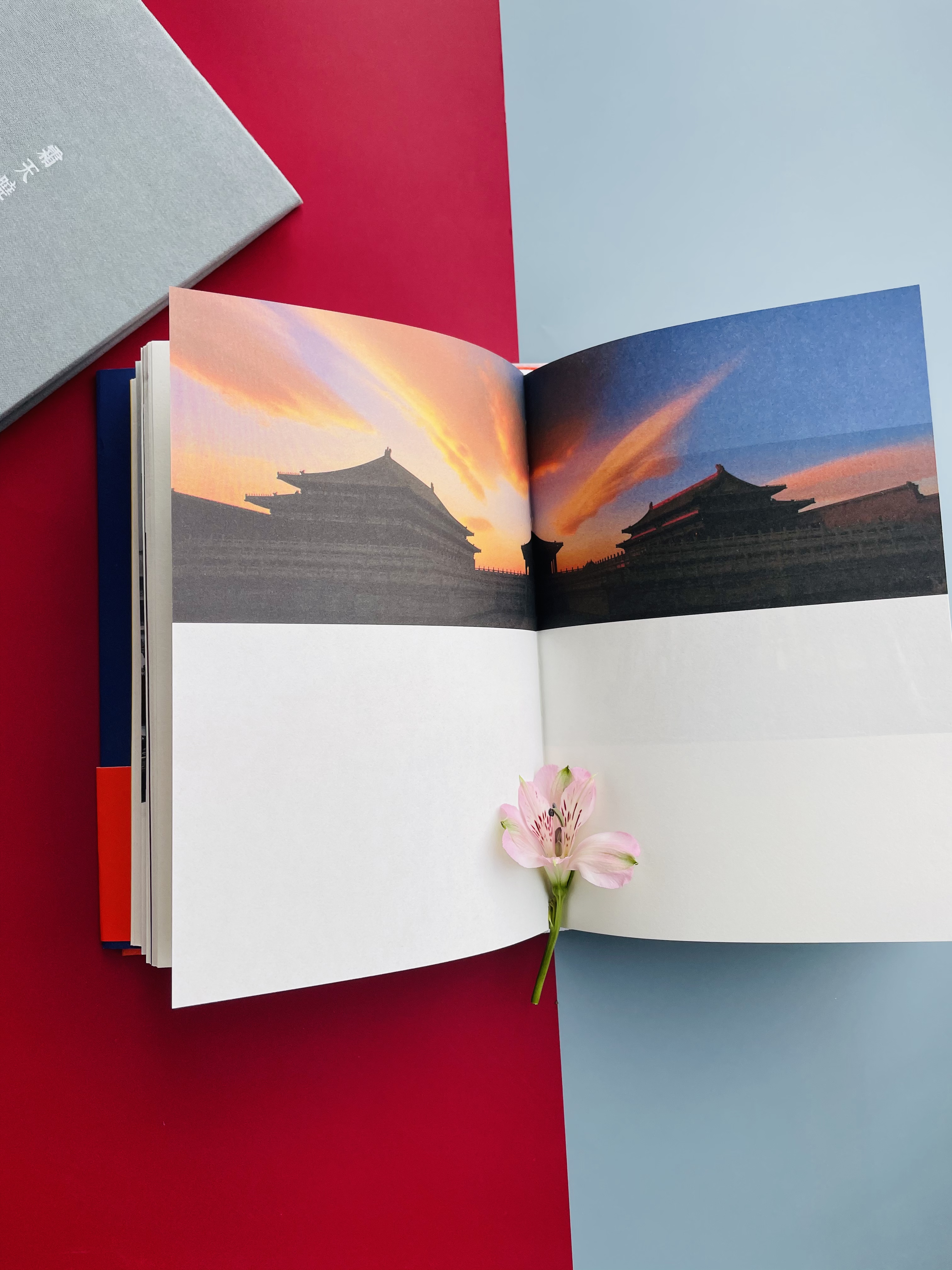 指间月色——《故宫如梦》阅读随笔