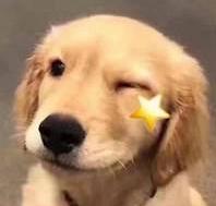 求婚迪丽热巴男子,神秘男子现场向迪丽热巴求婚