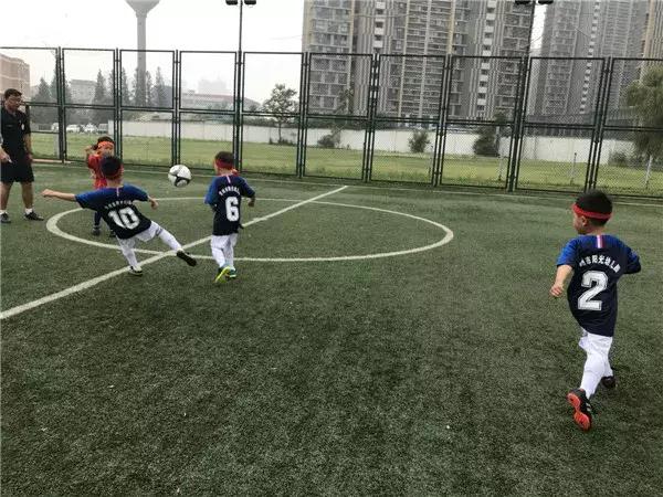 飞扬足球,飞扬足球预测