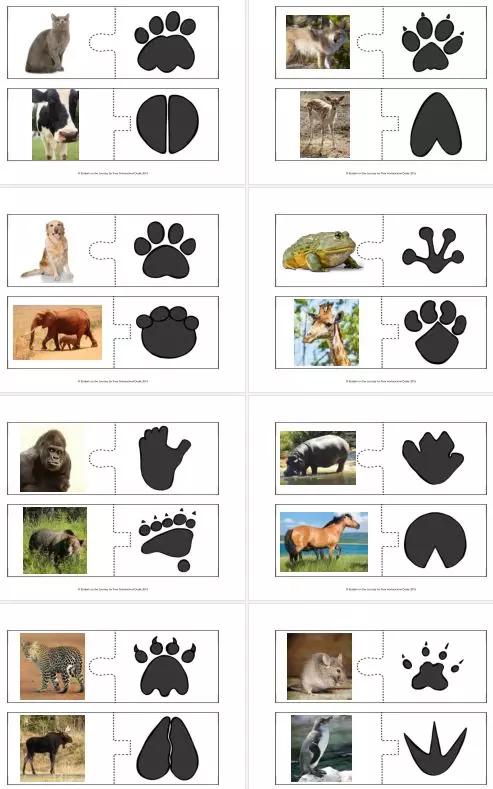 动物园怎么玩的具体介绍,动物园怎么玩更好玩