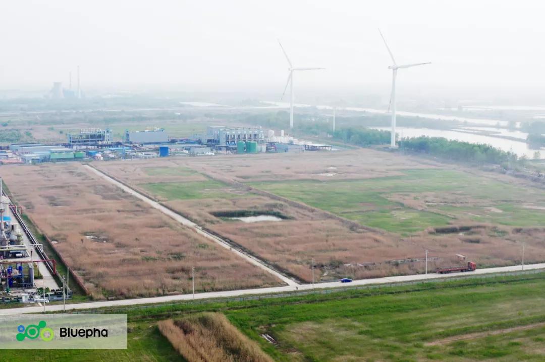 蓝晶微生物如何投资,蓝晶微生物融资上市
