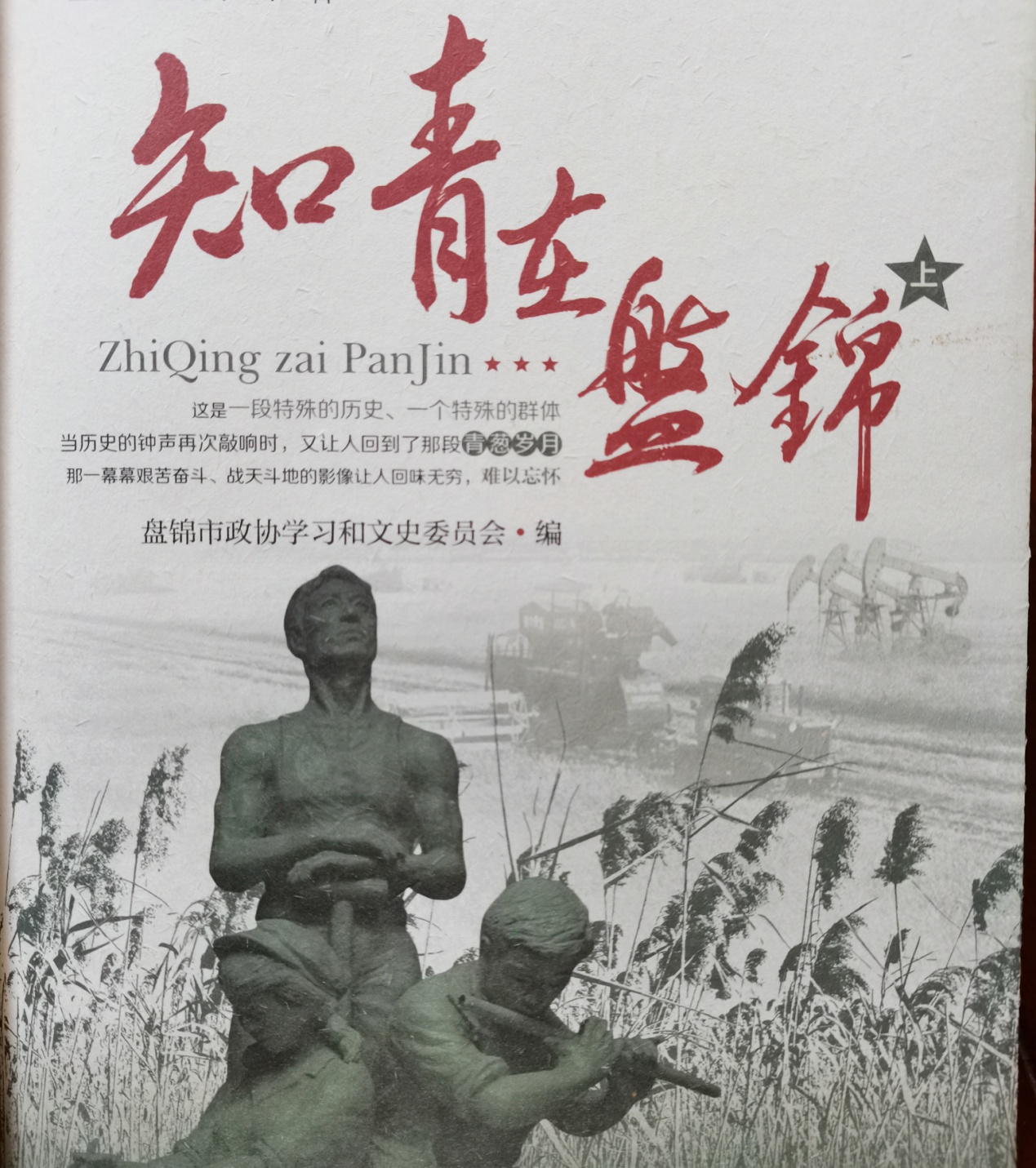 插秧拔杂草,插秧收割稻谷