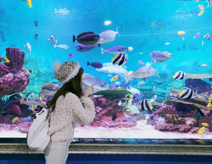 新手怎么逛免税店攻略,50家免税店最划算攻略在此