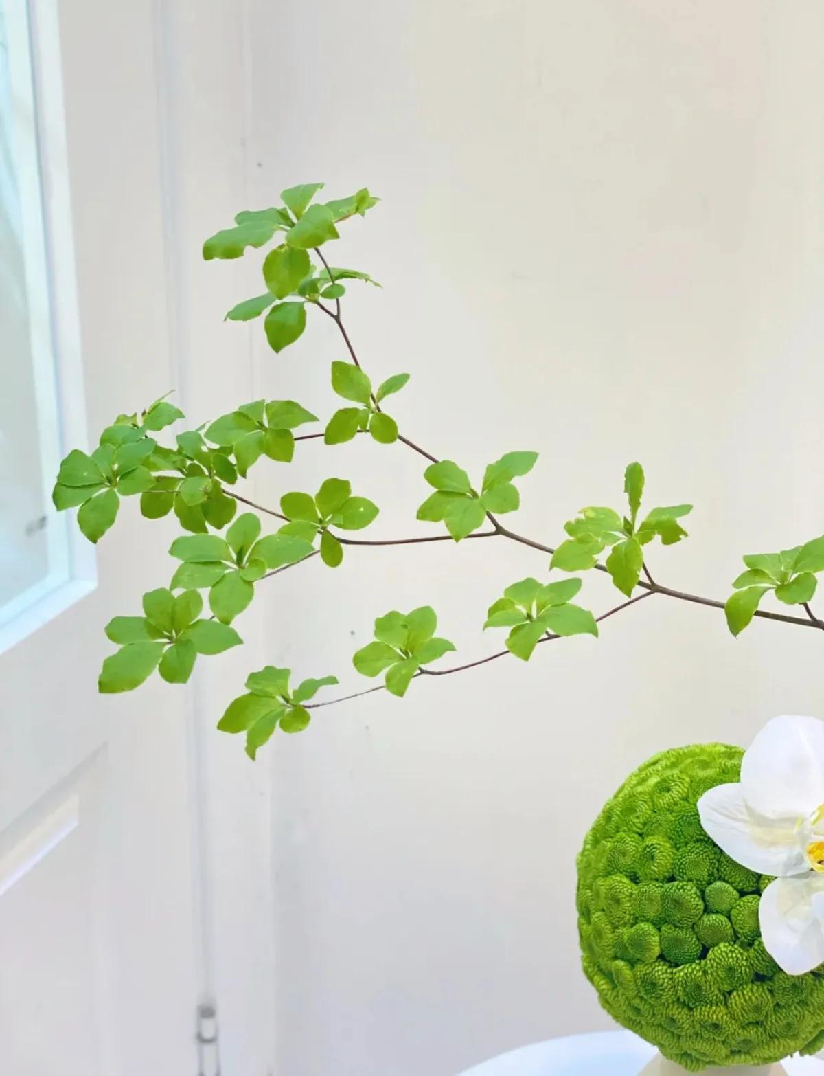 讨厌推销的人怎么办,为什么特别讨厌推销东西的人