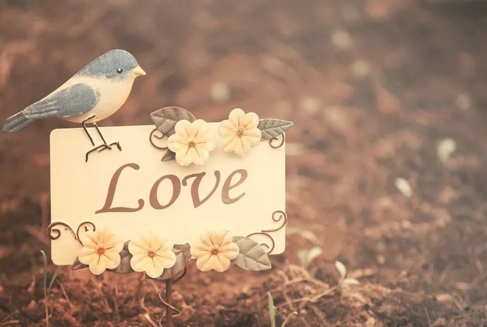 从癌症晚期到恢复健康,从病痛到生命的感悟