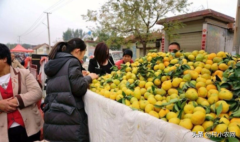 做杂粮煎饼生意一年能挣多少钱,怎么创业做煎饼店铺赚钱