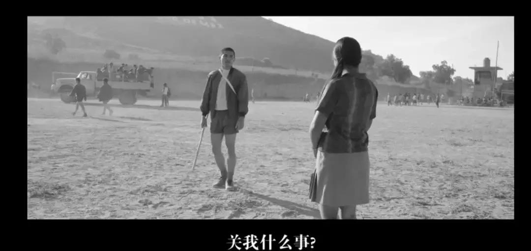 奥斯卡评选20世纪100部电影,奥斯卡10个奖项