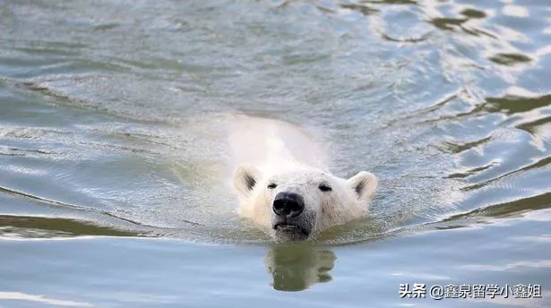 英国谢菲尔德住宿攻略,谢菲尔德一日游攻略