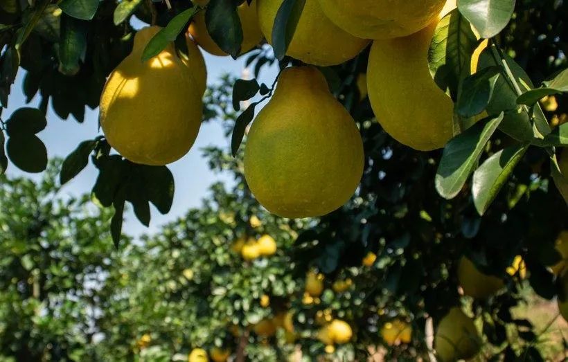 大阳150踏板摩旅进藏,大阳adv150长途摩旅西藏