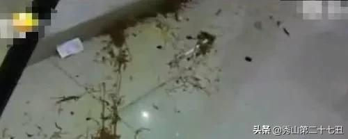 大妈在学校门口摆摊卖小吃,大妈校门口卖小吃引争议