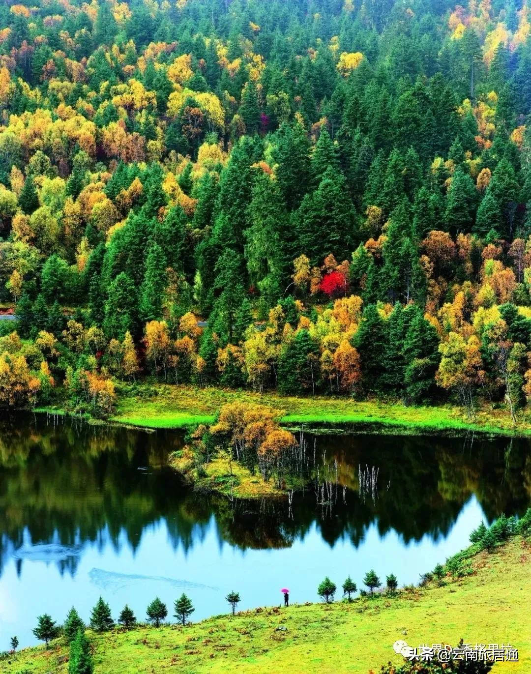 最好的风景在路上云南,有一种山叫云南的山