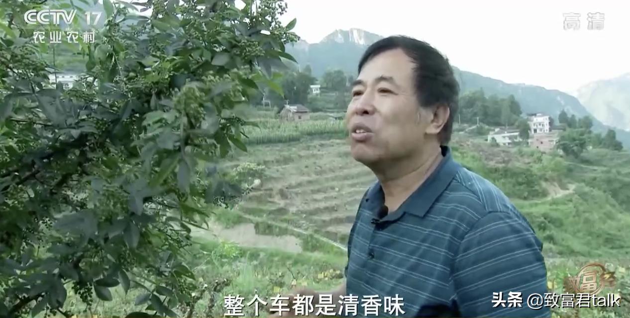 赚麻了：废蒸汽都能拿来赚钱