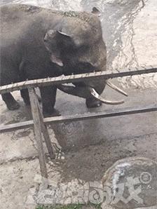 爆笑GIF趣图：美女，这射的是丘比特之箭吧