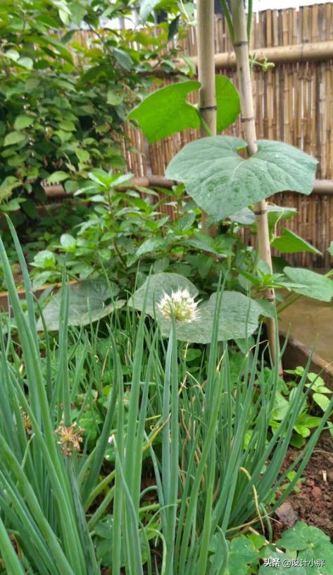 一个人手工diy,一个人的diy可以做什么