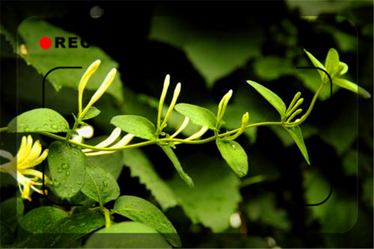 现在实体店不能开门做生意，每天都在亏钱，怎么办呢？