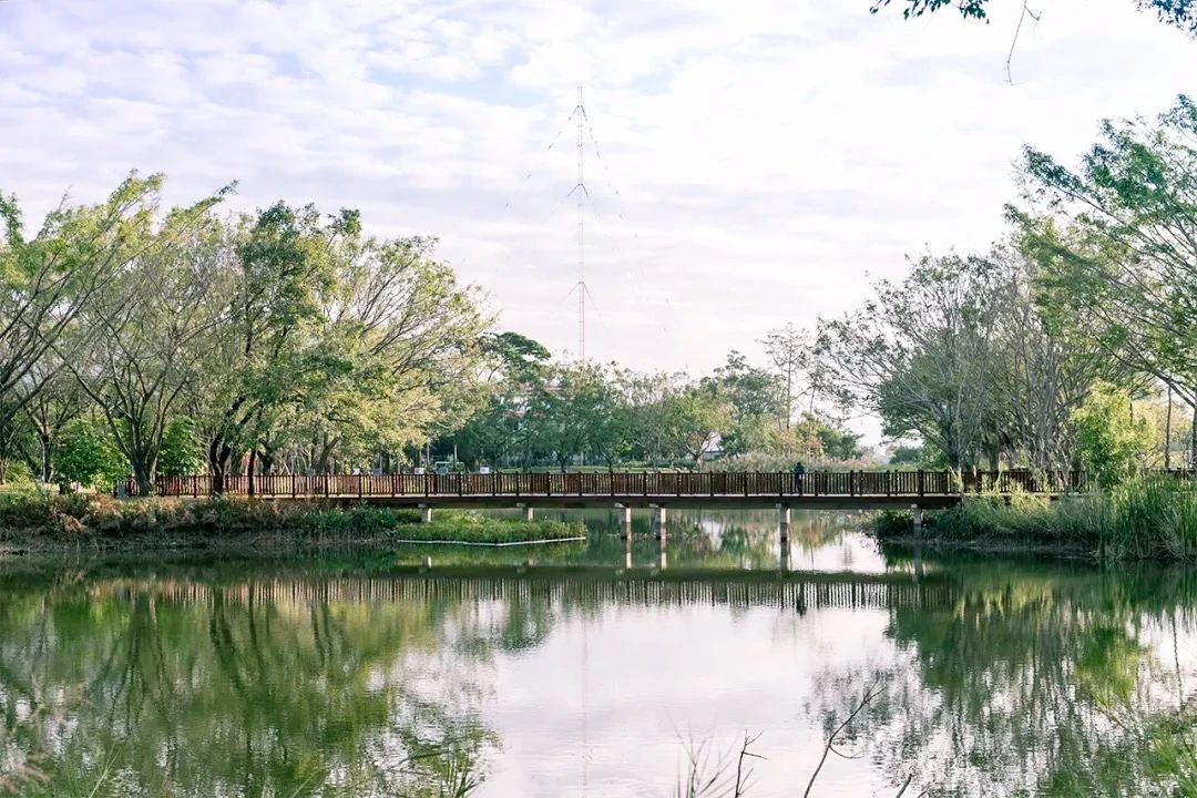 深圳周末浪漫好去处,深圳浪漫约会地点十个景点