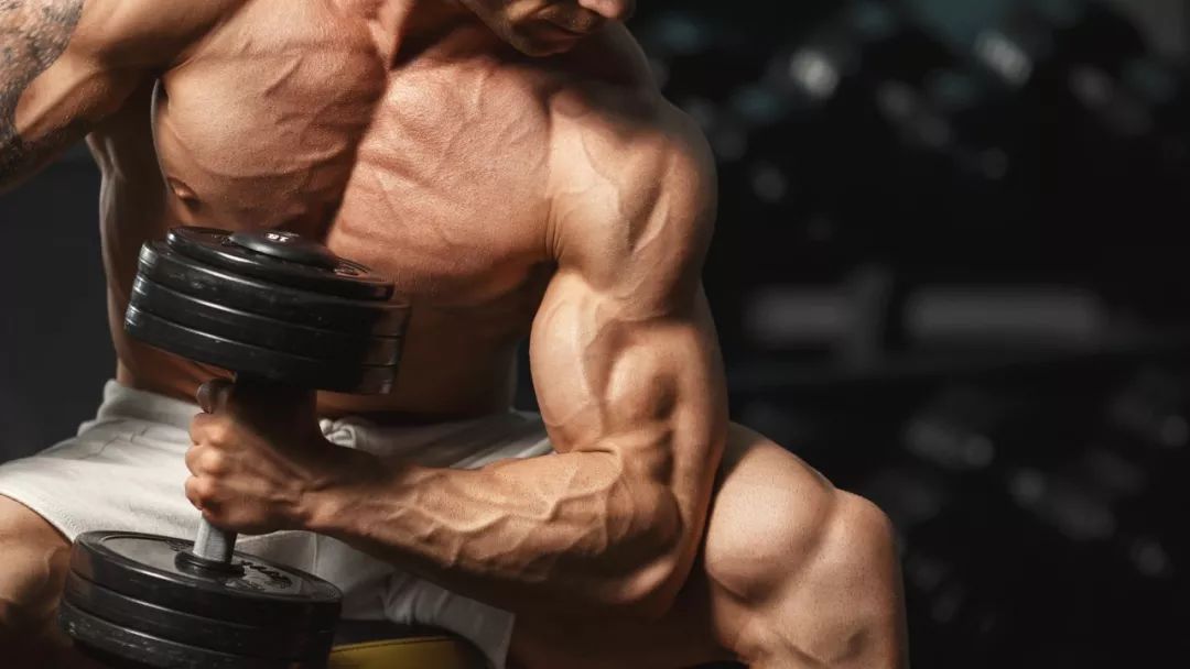 哪种蛋白质增强免疫力效果好,增肌最好的蛋白质是什么