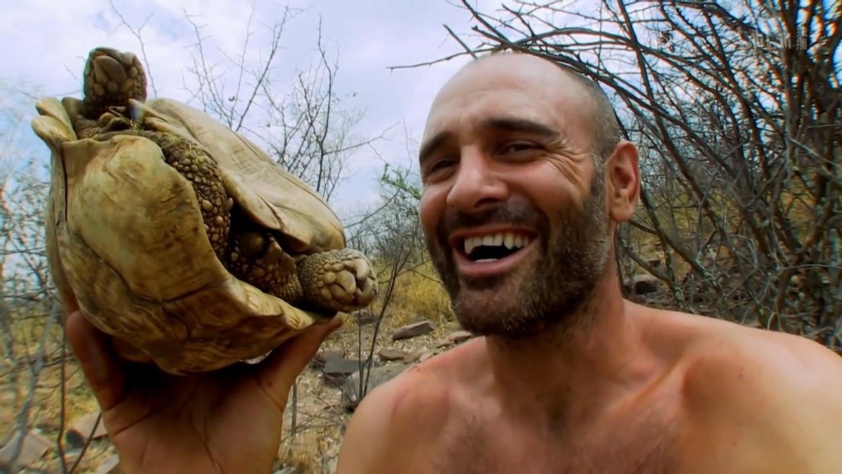 德爷吃乌龟完整版,野外求生德爷吃乌龟