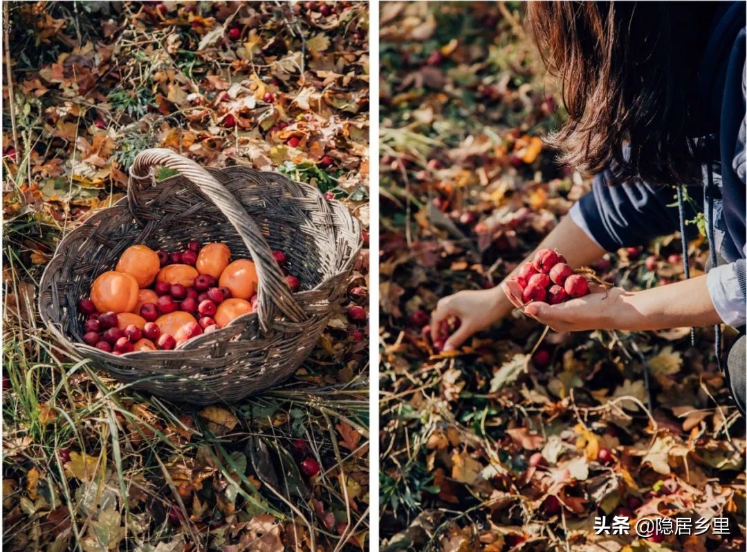 京郊集体出游民宿,京郊团建民宿小院烧烤